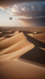 An expansive desert landscape with undulating sand dunes stretching into the distance. A dramatic sky overhead features thick, swirling clouds with sunlight peeking through, illuminating parts of the sand. A small biplane flies above the desert, adding a sense of scale and adventure.