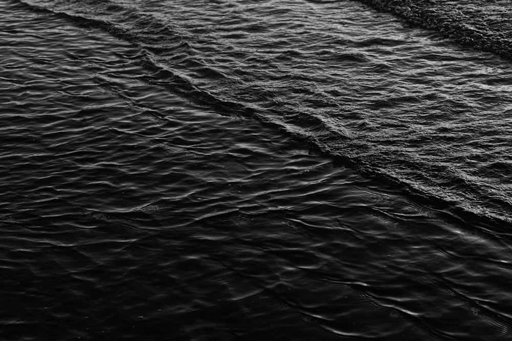Una foto in bianco e nero di una barca nell'acqua