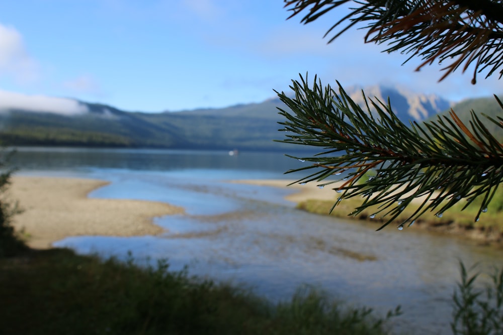 a view of a body of water with mountains in the background