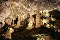 A panoramic view of a sprawling underground cavern lit by bioluminescent plants.