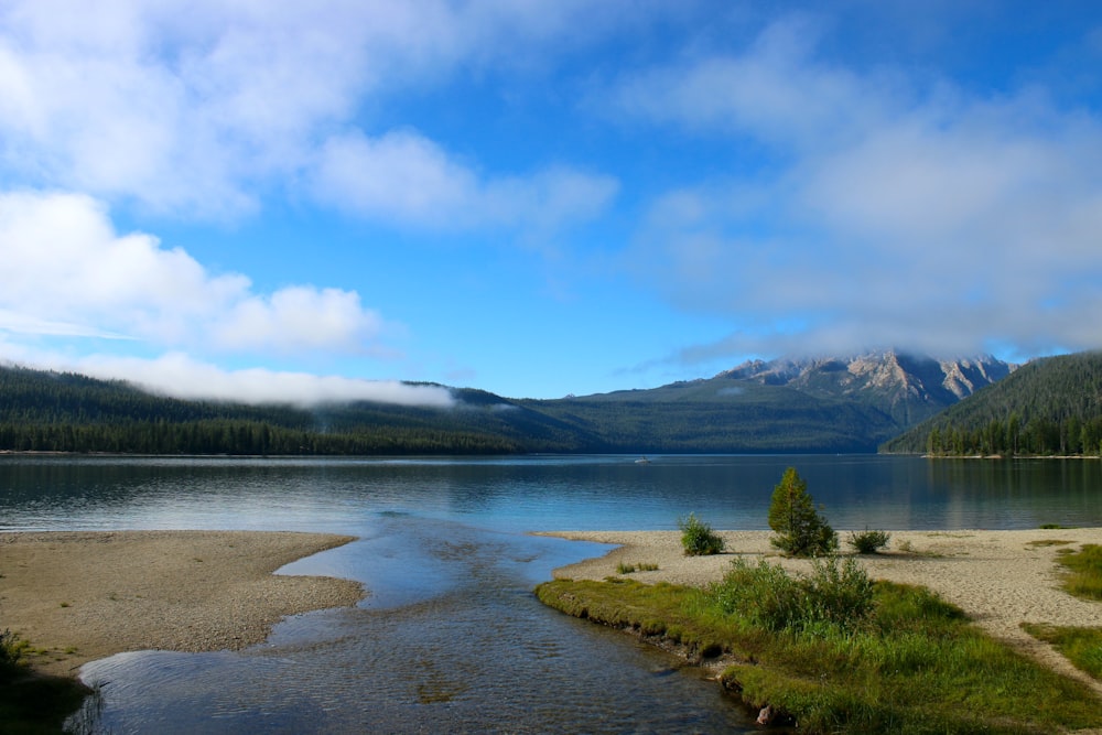 a body of water surrounded by mountains and trees