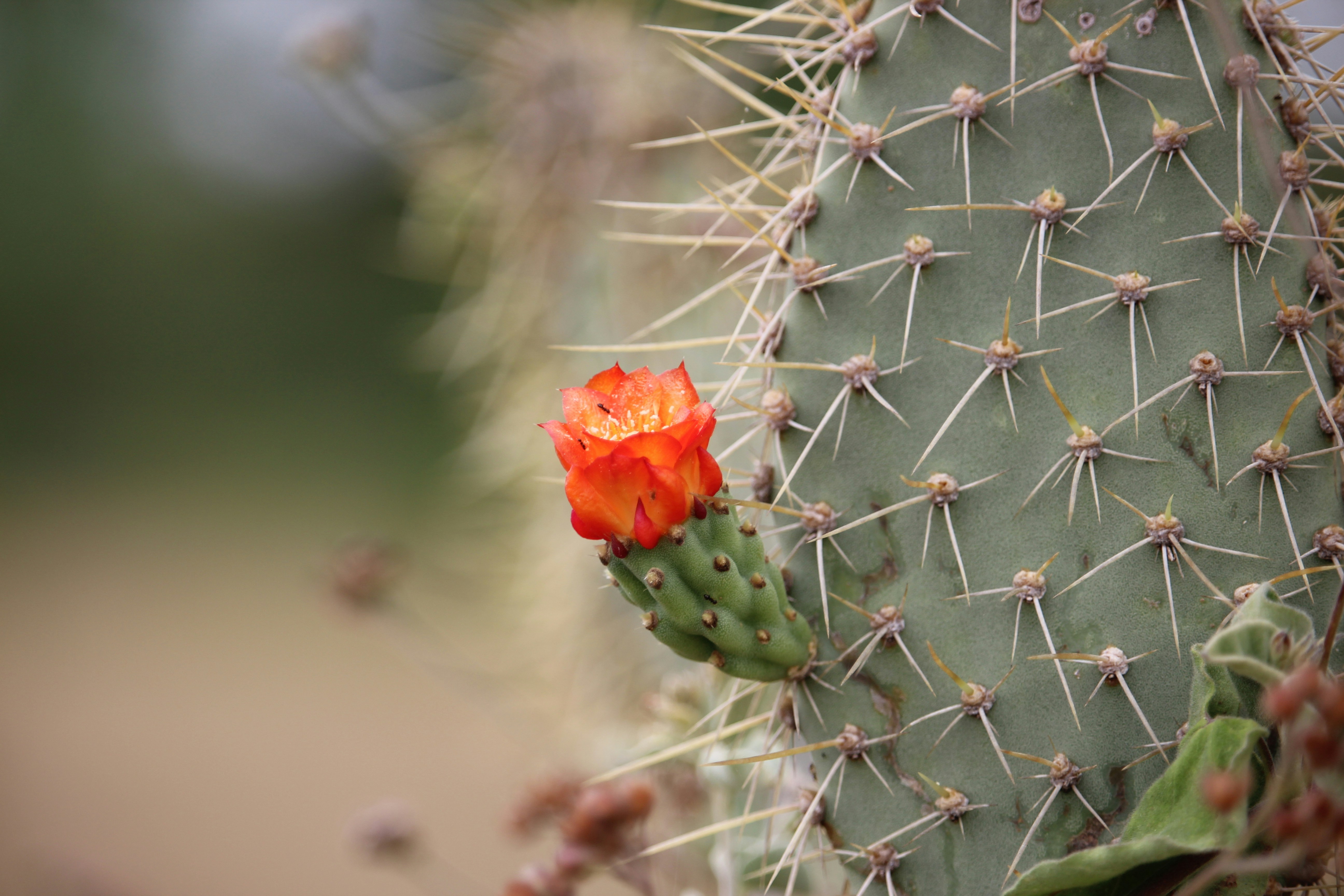 Photo by prosacompoesia