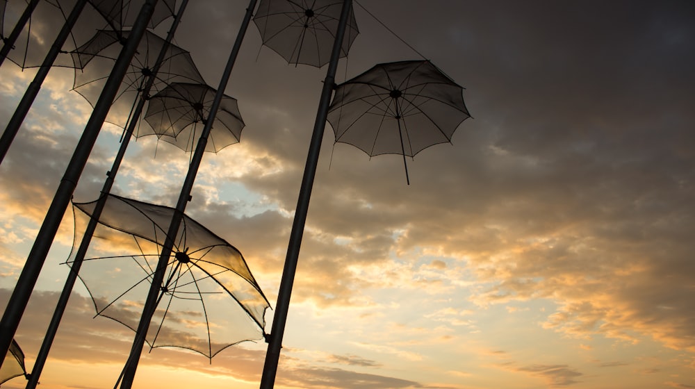 금속 기둥 위에 앉아 있는 우산 한 무리