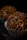 Two chocolate truffle candies with a textured coating of chocolate pieces are presented in silver cupcake liners against a dark background.