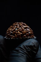 A chocolate confection with a rough texture is held by gloved fingers, set against a dark background, creating a contrast that highlights the dessert's details.