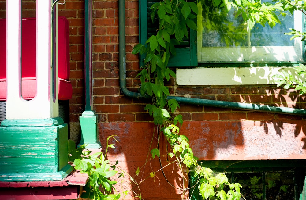 a red brick building with green plants growing up the side of it