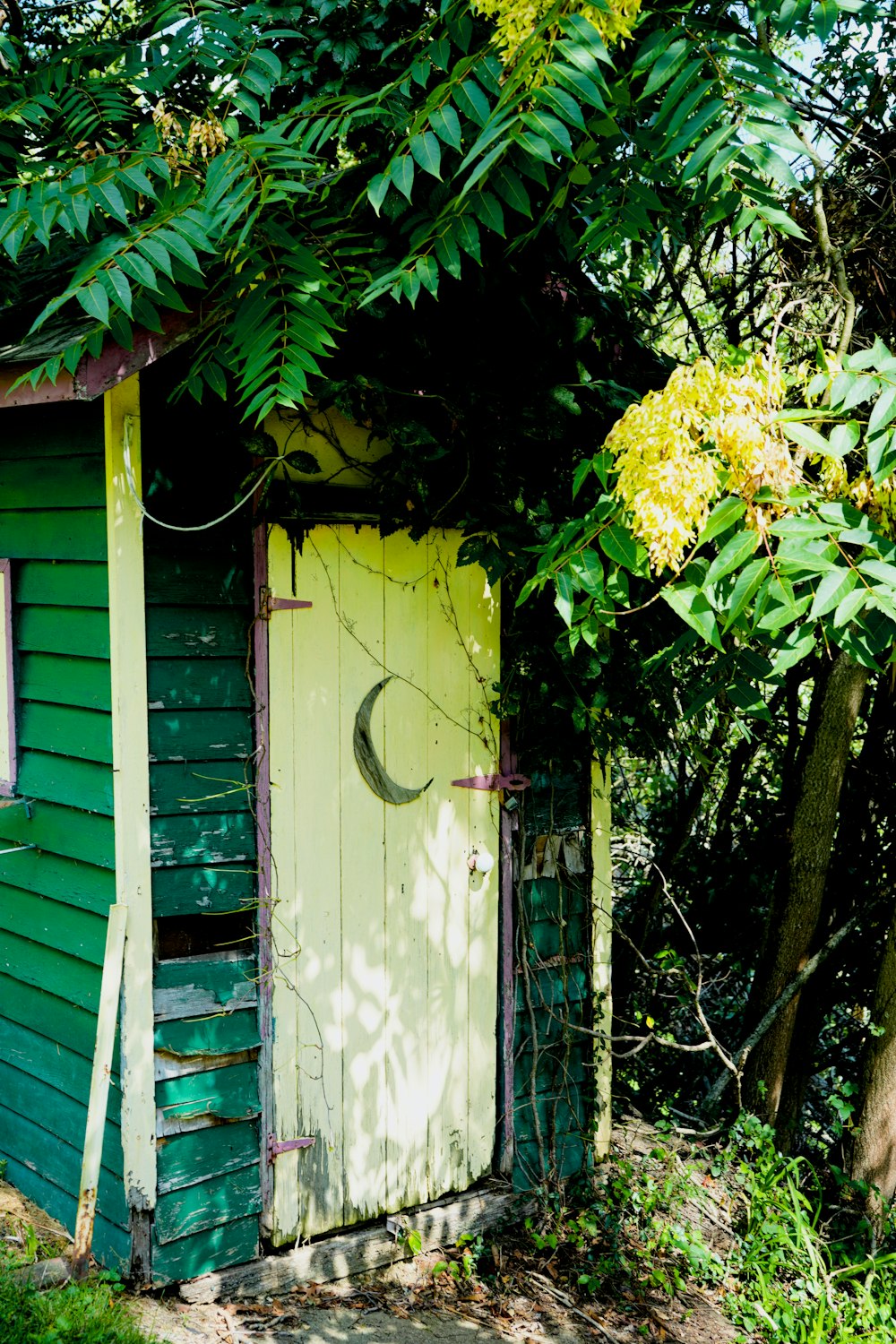 a small green shed with a door and window