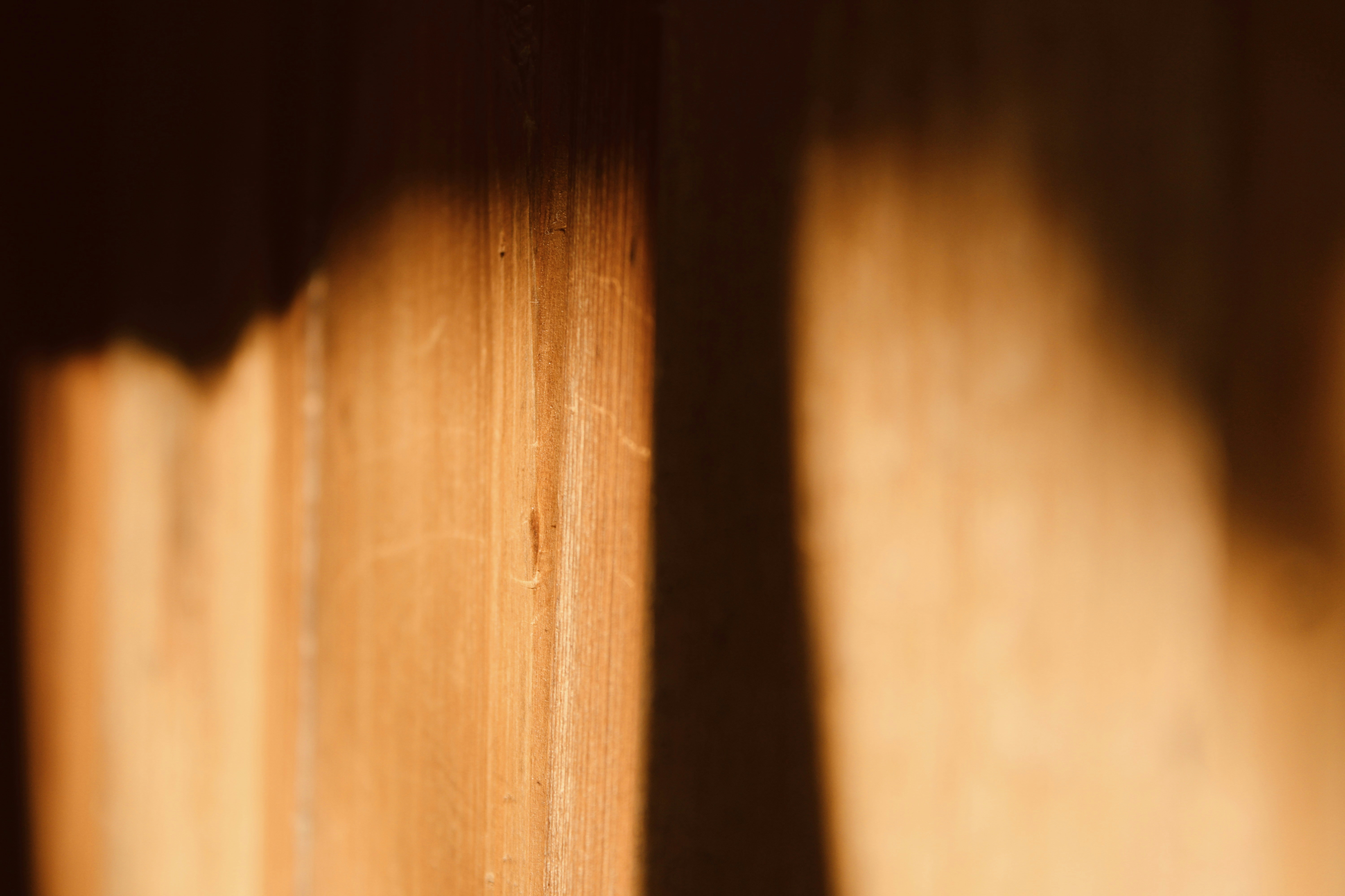 Photo by linusbelanger