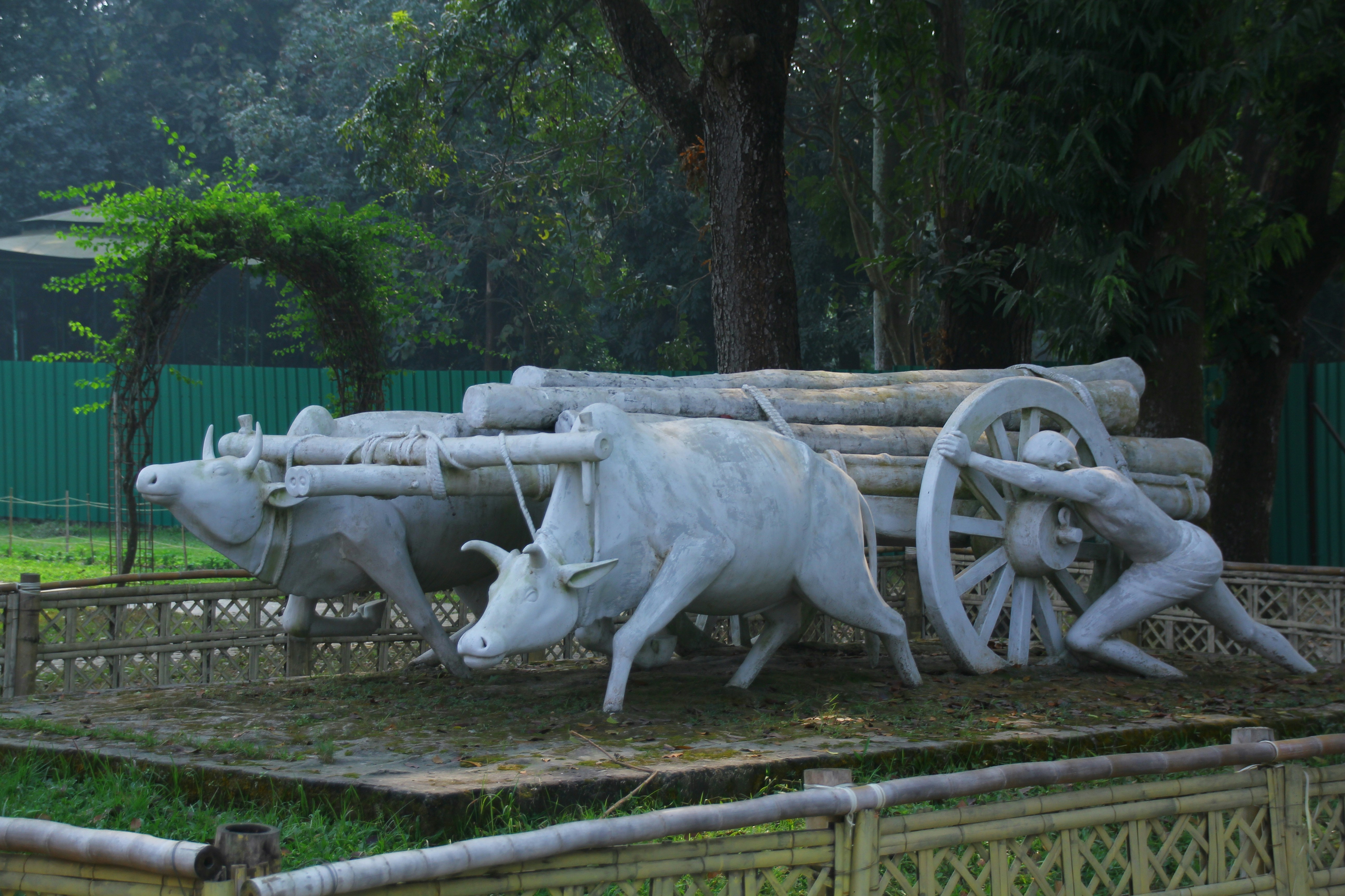 Sunday, Dec 7: Vine Practice Session Invitation