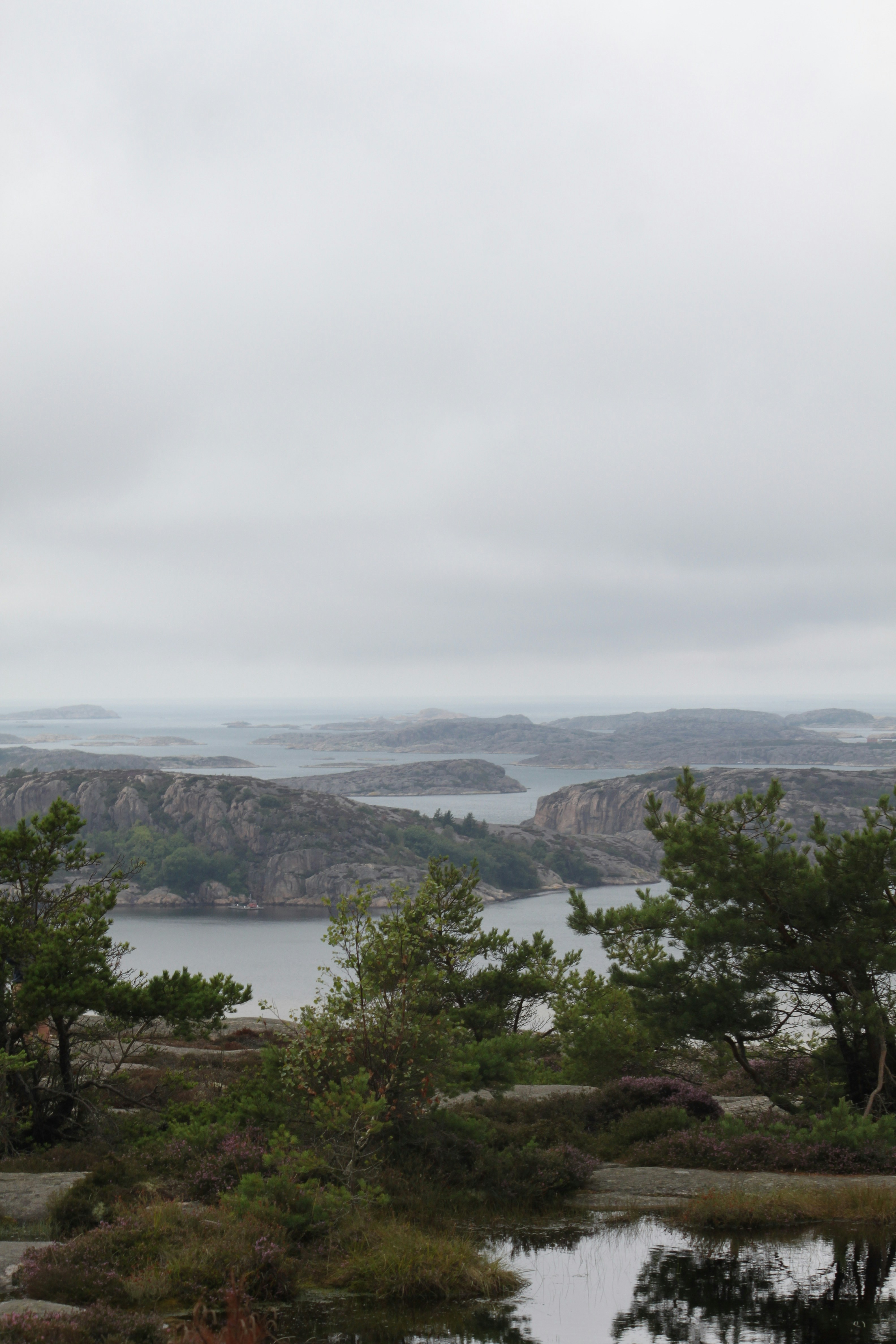 a large body of water surrounded by trees