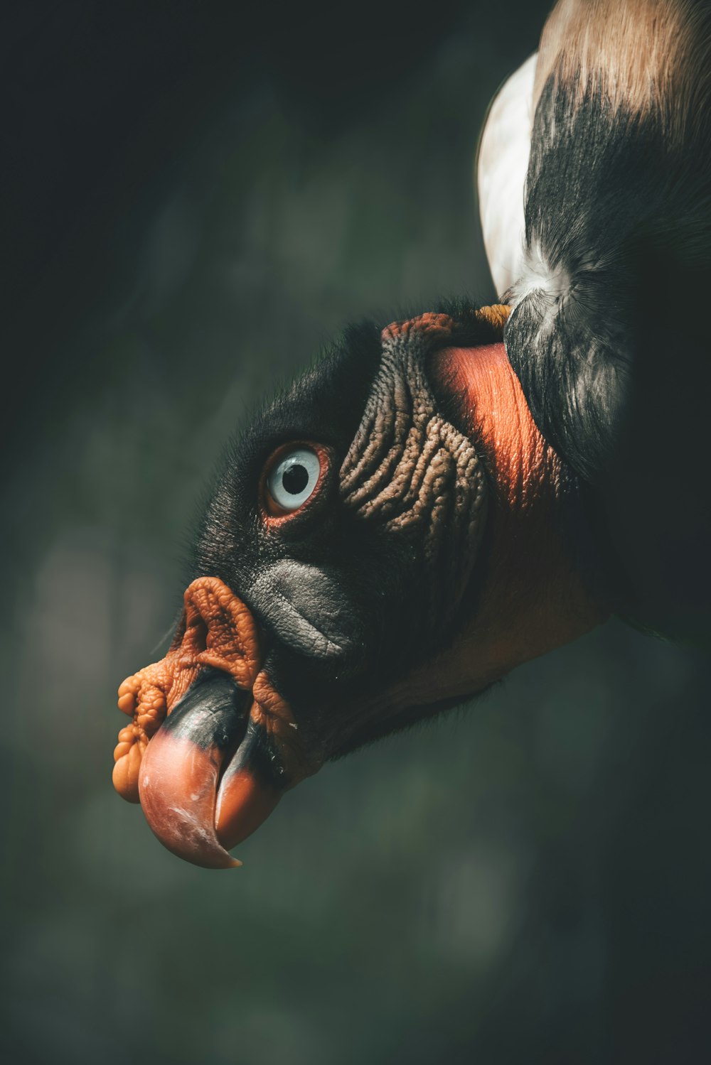 a close up of a person's hand with a bird on it's