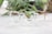 A pair of clear eyeglasses with brown temples rests on a light-colored surface, with blurred green foliage in the background. The glasses have a distinctive round frame design typical of classic optical styles.