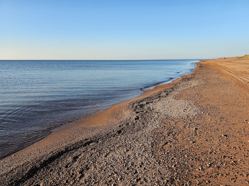 a sandy beach next to the ocean under a blue sky