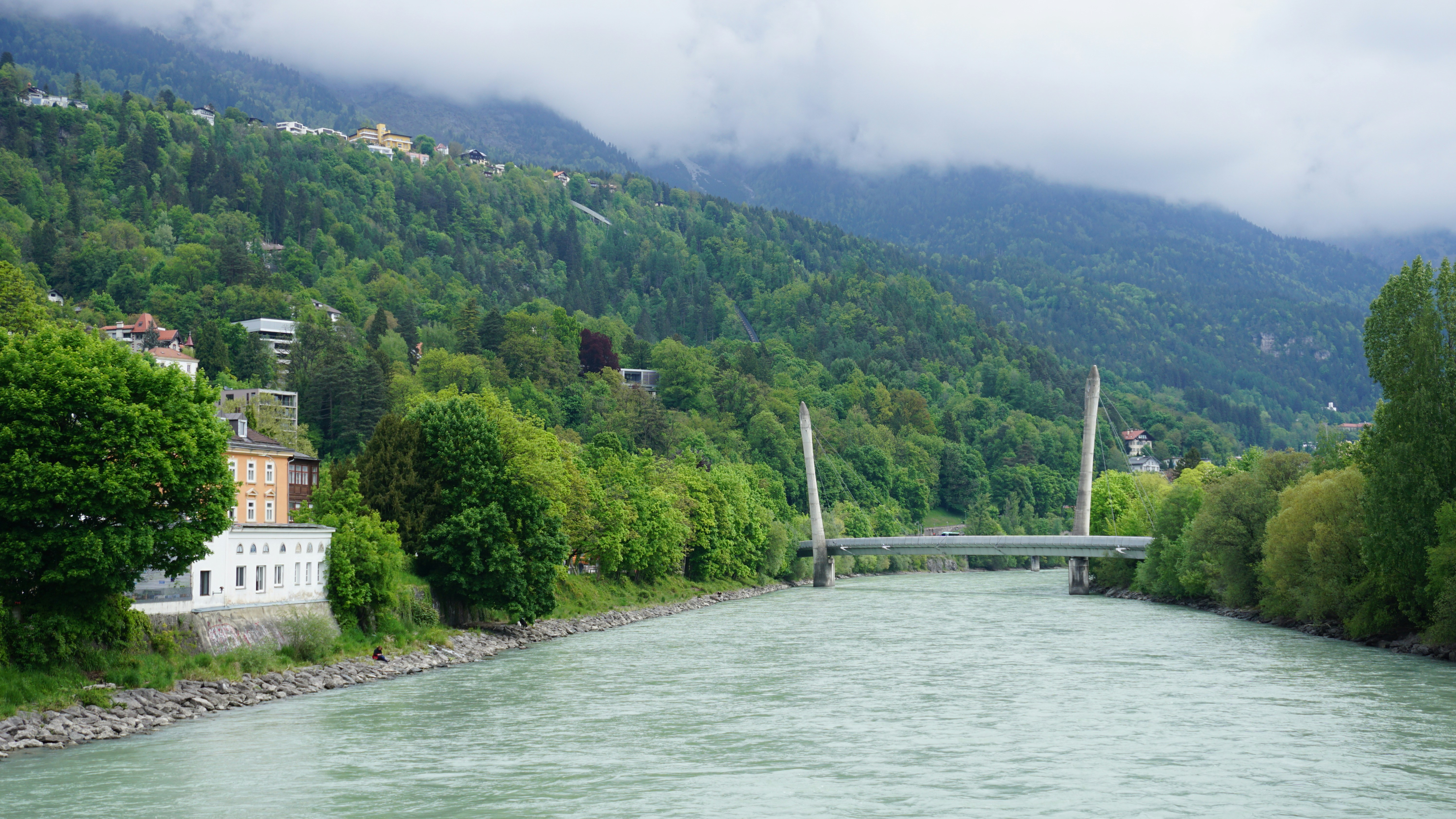 a river running through a lush green forest