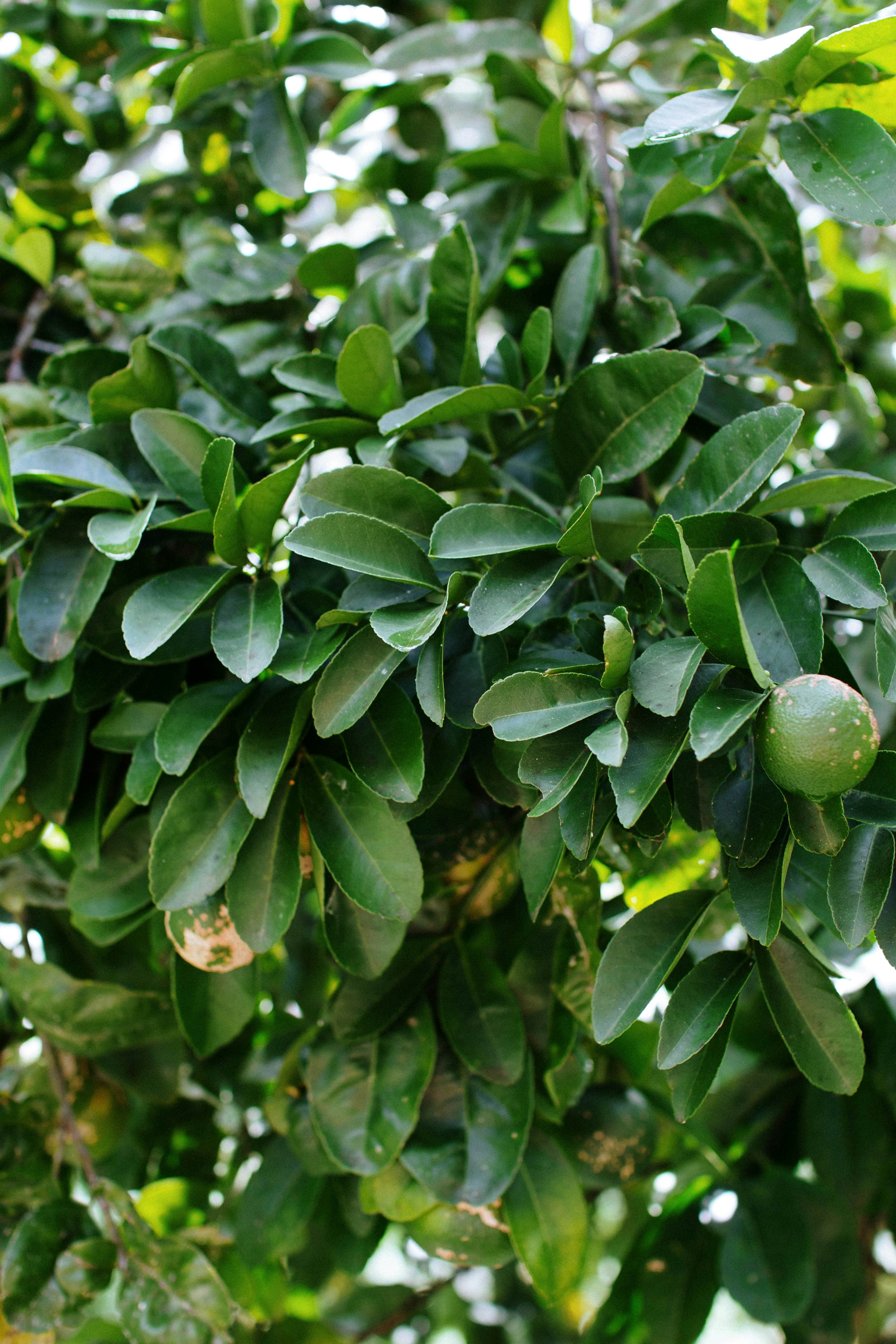 Photo by jessicabelle