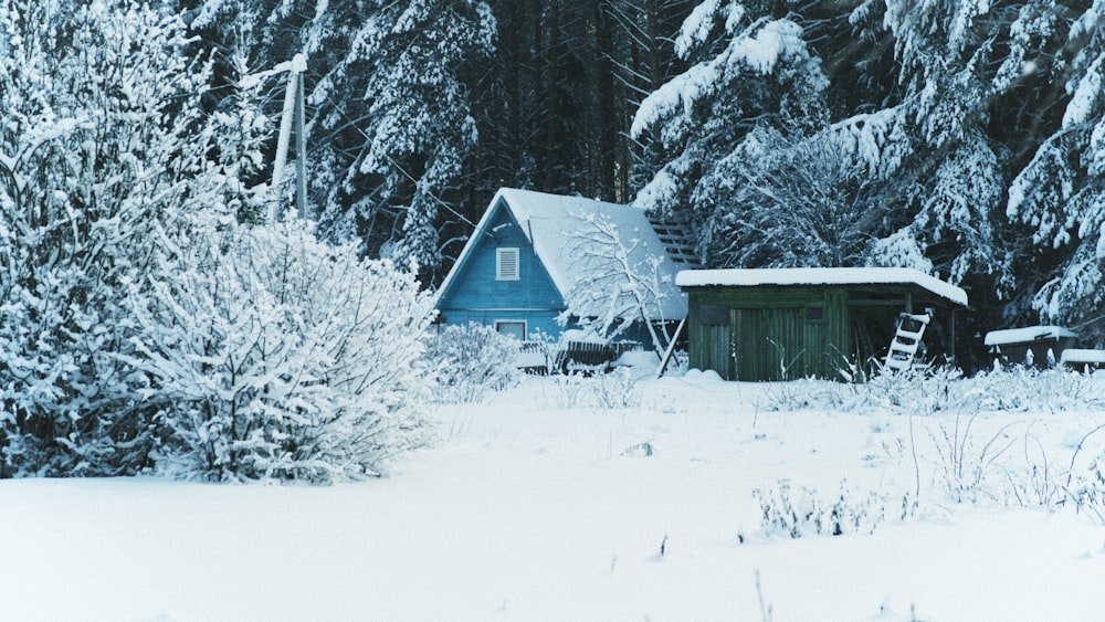雪に覆われた森の中の小屋