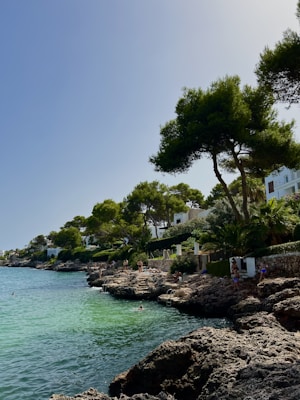 A coastal scene features clear, calm turquoise water with several people swimming and relaxing on rocky shores. The shoreline is lined with lush green trees and white buildings, suggesting a serene holiday setting.