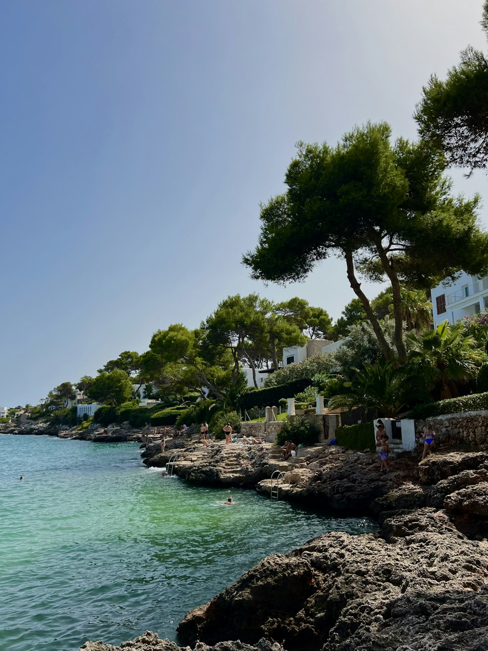 a body of water surrounded by trees and buildings