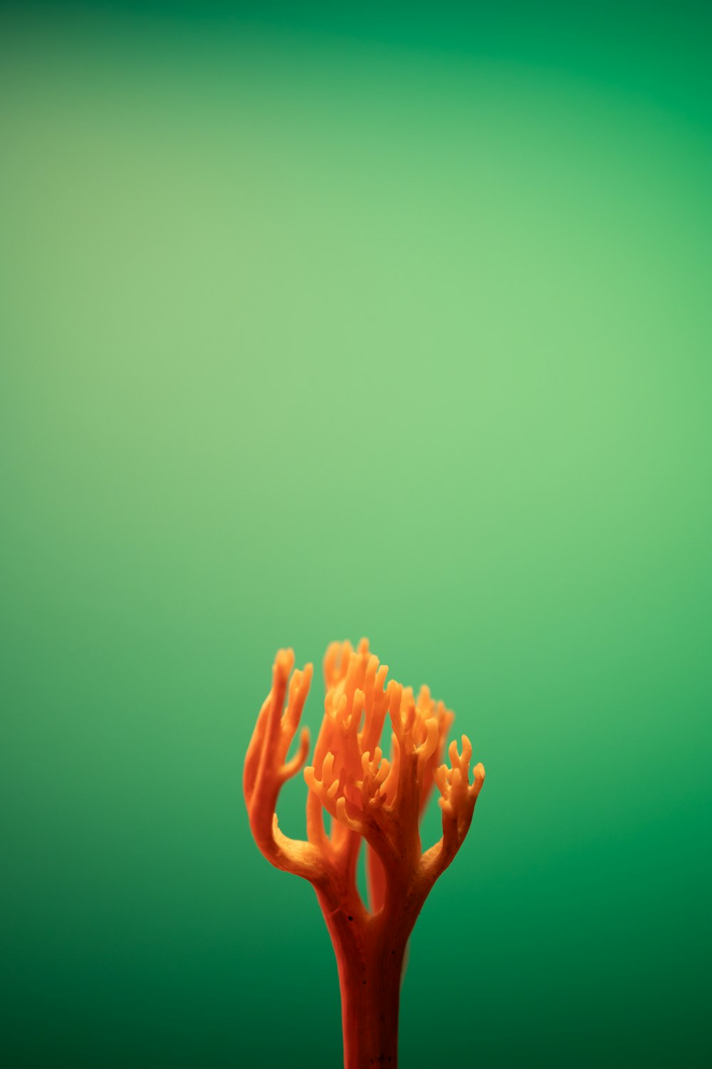 a close up of a plastic tree on a green background