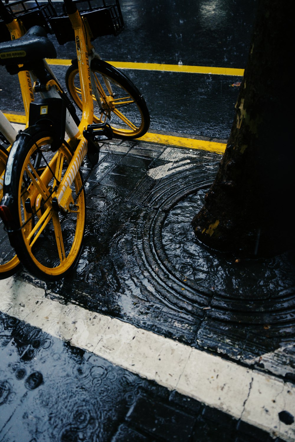 a bike parked next to a tree in the rain