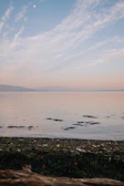 Soft pastel painting depicting a calm seaside scene at dawn.