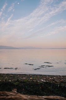 A tranquil seascape at dawn with gentle waves and pastel sky hues.