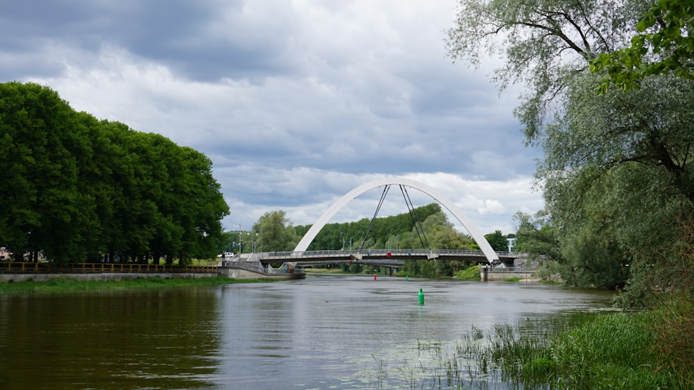 a bridge over a body of water next to a lush green forest