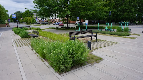 A landscaped urban area featuring paved walkways and benches surrounded by green plants. There are several electric scooters parked in designated areas, and trees lining the street. Cars are parked along the road, and buildings can be seen in the background.