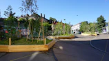 Volunteers planting trees along a city street to improve urban green spaces.