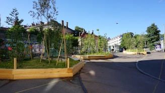 A street scene with several raised wooden planters filled with young trees and greenery. Buildings with red roofs line the background, and the sky is clear and blue. The planters are positioned on a paved area, and there are shadows visible on the ground, suggesting a sunny day.