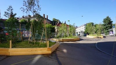 A street scene with several raised wooden planters filled with young trees and greenery. Buildings with red roofs line the background, and the sky is clear and blue. The planters are positioned on a paved area, and there are shadows visible on the ground, suggesting a sunny day.