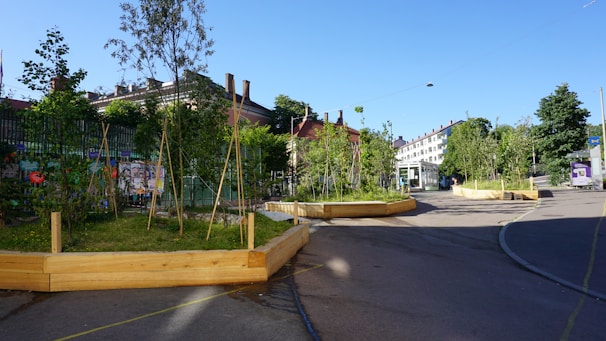 Volunteers planting saplings along a city street surrounded by buildings.