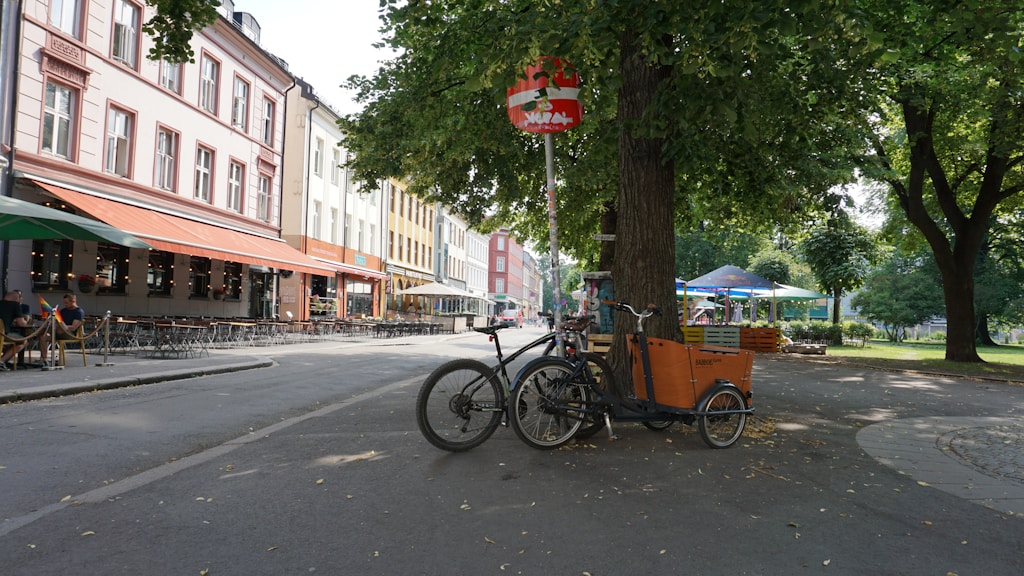Cargo Bike Elettrica
