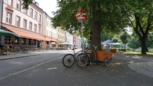Cargo Bike Elettrica