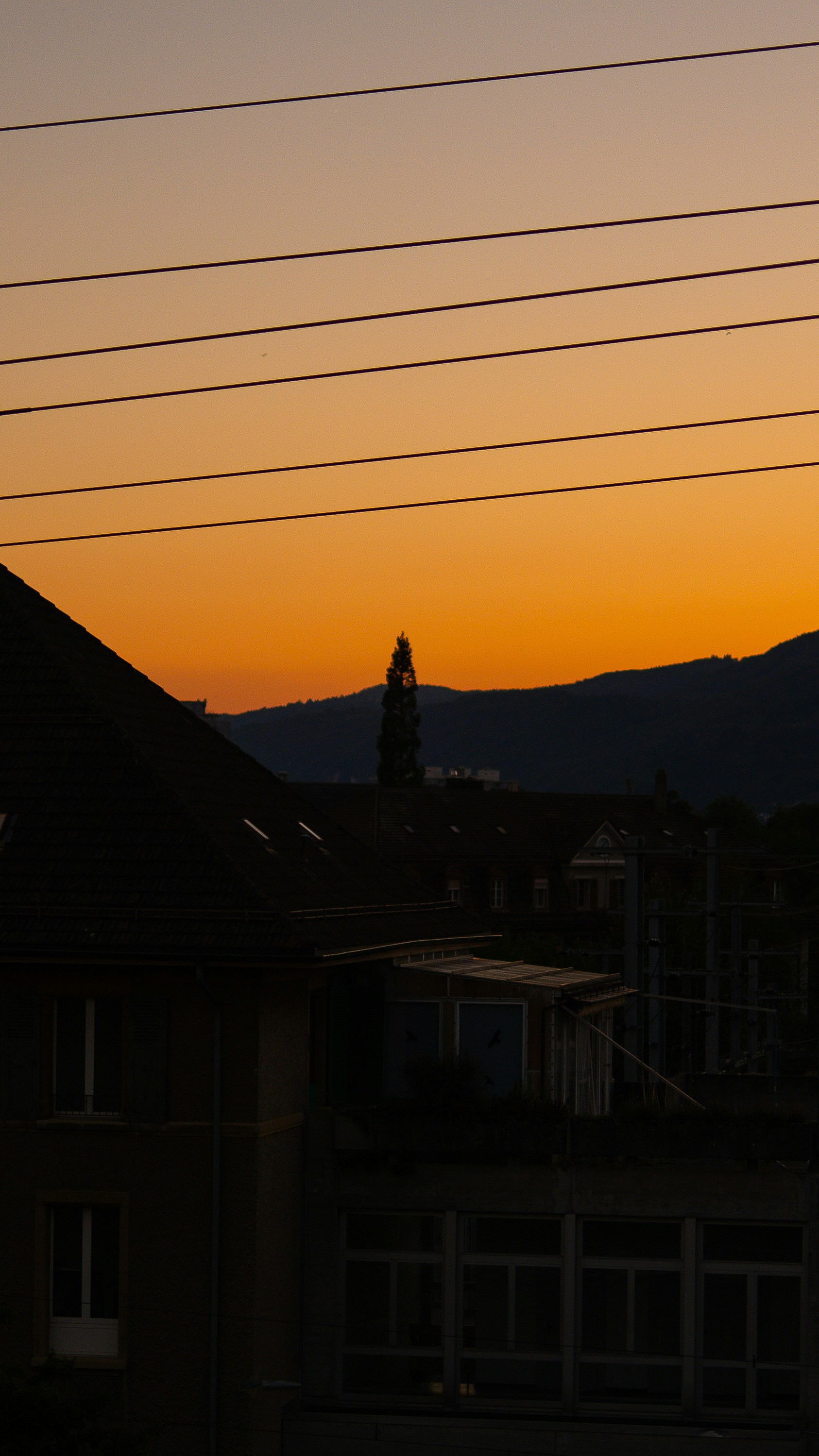 Photo by mono_log