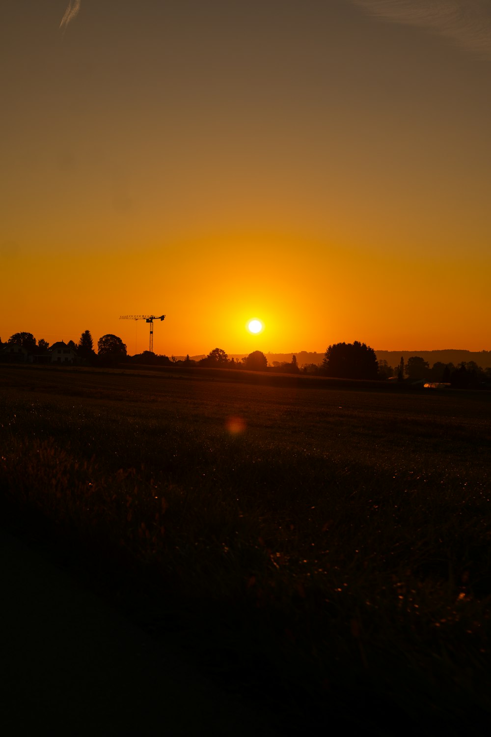 the sun is setting over a field of grass