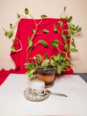 A vibrant green potted plant with long, trailing vines is set against a red fabric backdrop. In front of the plant, there is a cup and saucer placed on a white surface with a small spoon beside it. The scene is calm and minimalistic, emphasizing the natural and homey atmosphere.