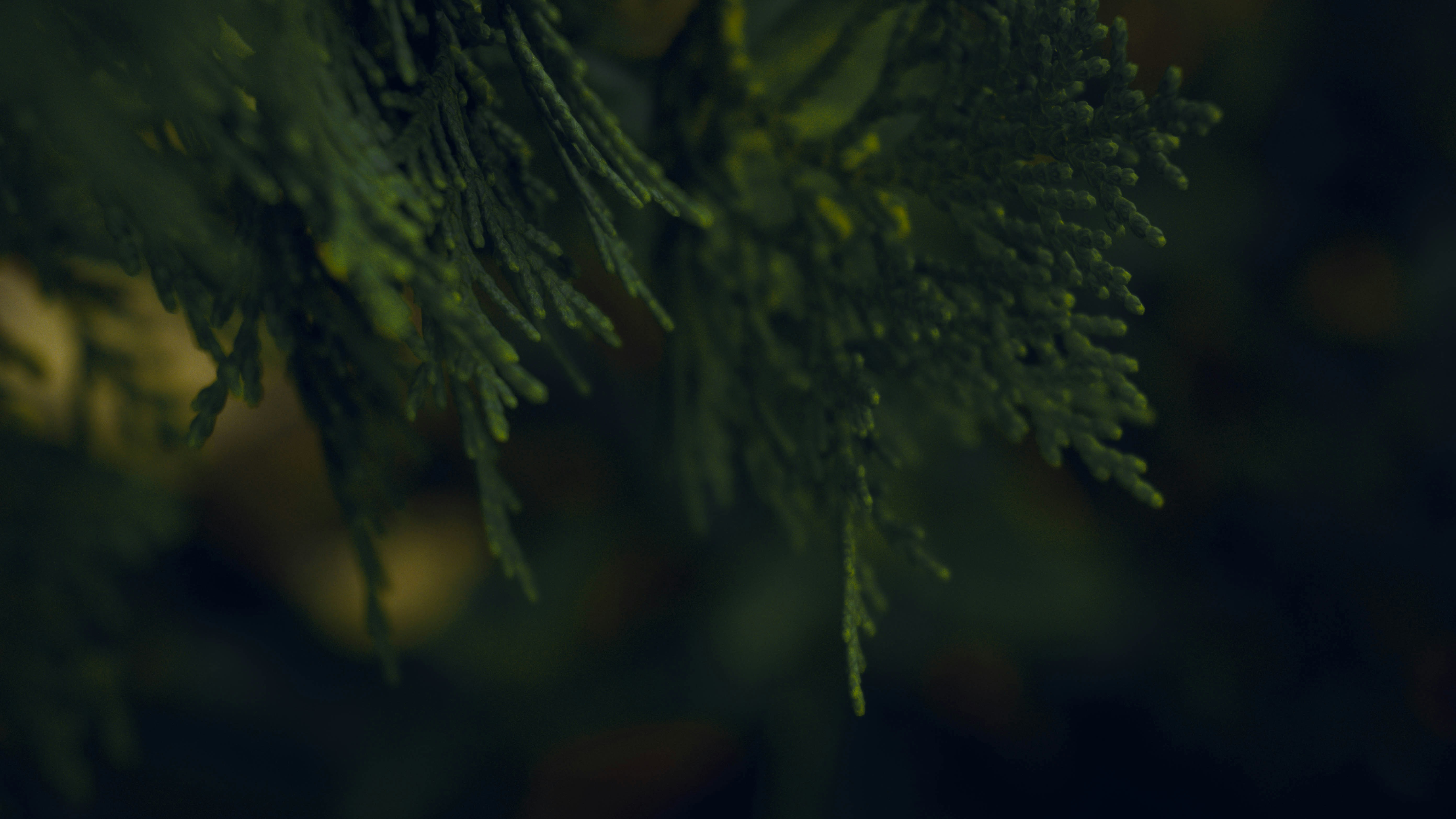 Photo by haythamkenway