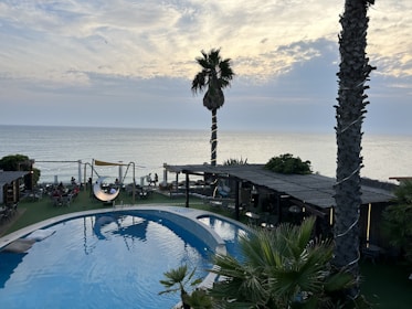 Guests enjoying the outdoor pool with a view of the Arabian Sea at sunset.