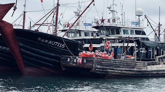 Several fishing boats are docked closely together, with visible masts and rigging. The boats have a black and red color scheme and display identification numbers in white. Red buoys and lifebuoys are attached to one of the boats, adding to the maritime equipment visible on the decks.