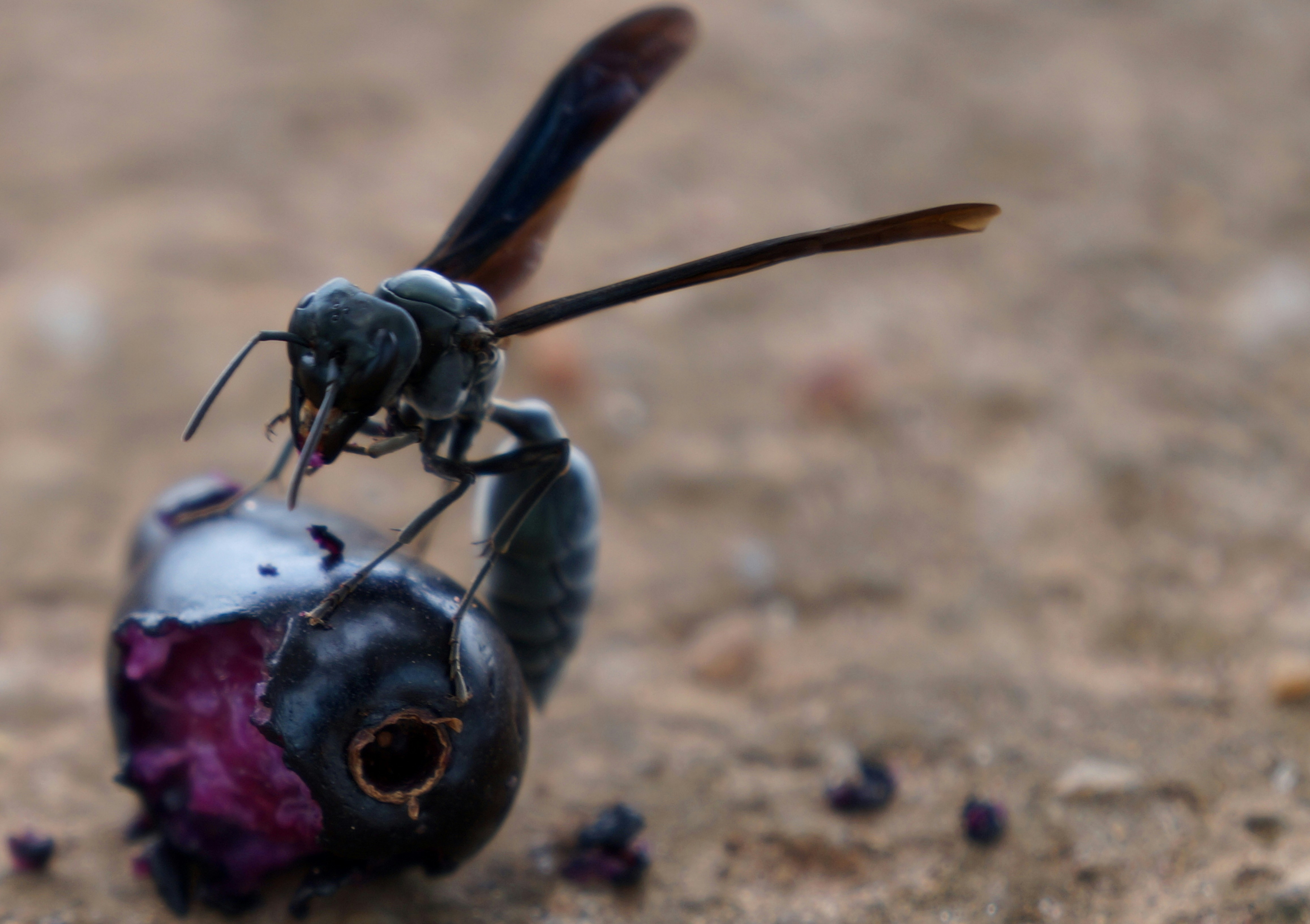 Hornets vs Warriors: Good Luck Wishes for Tonight's Game