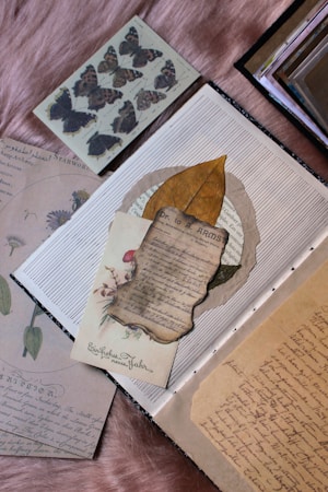 An assortment of vintage papers and pages from a scrapbook lay on a soft, pink fabric background. There are handwritten letters, illustrations of butterflies, and botanical drawings. One of the papers includes a darkened, rustic leaf pressed on it.