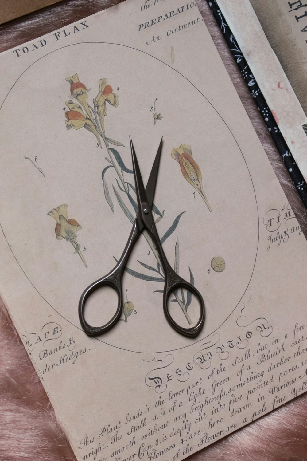 a pair of scissors sitting on top of a piece of paper