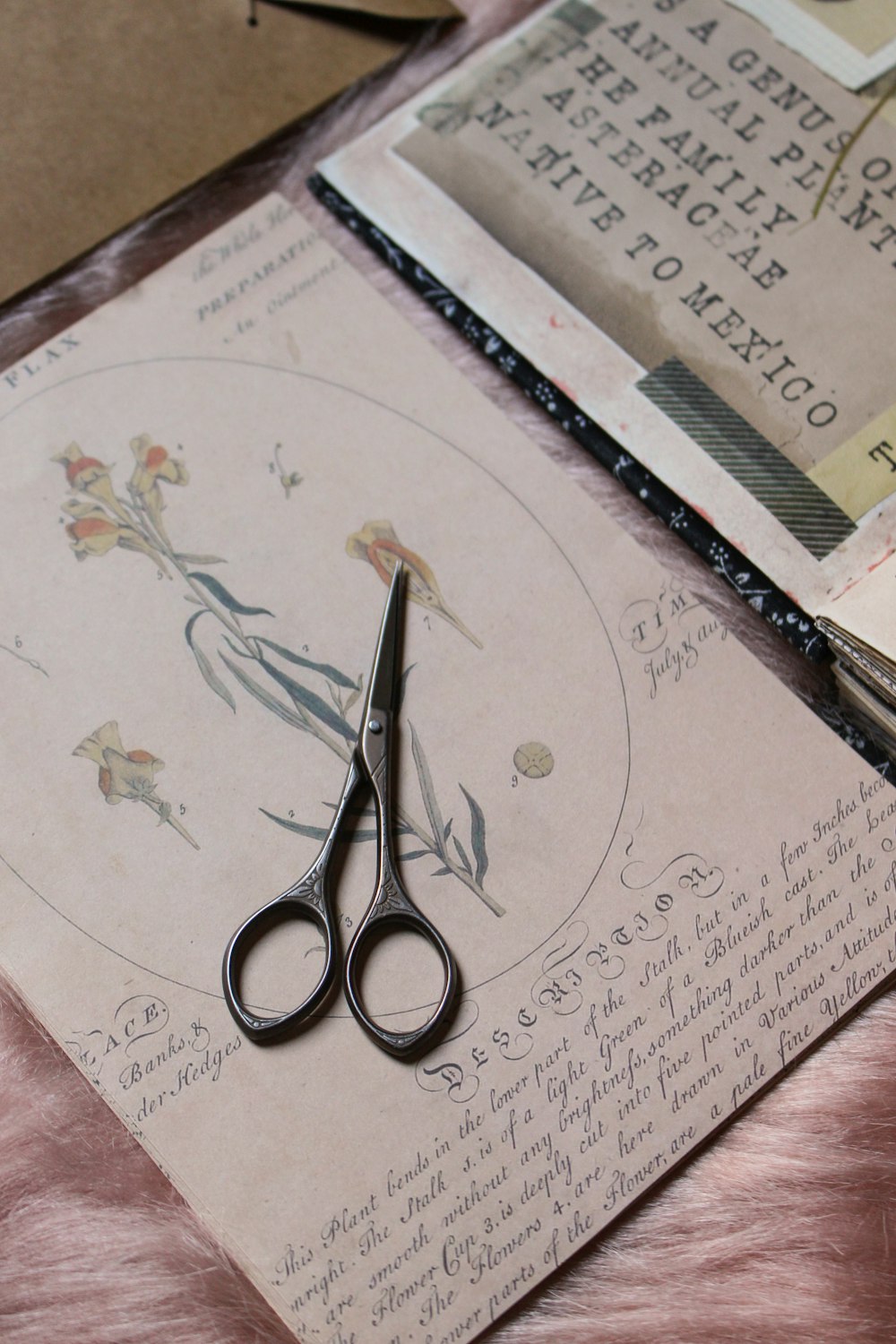 a pair of scissors sitting on top of a piece of paper