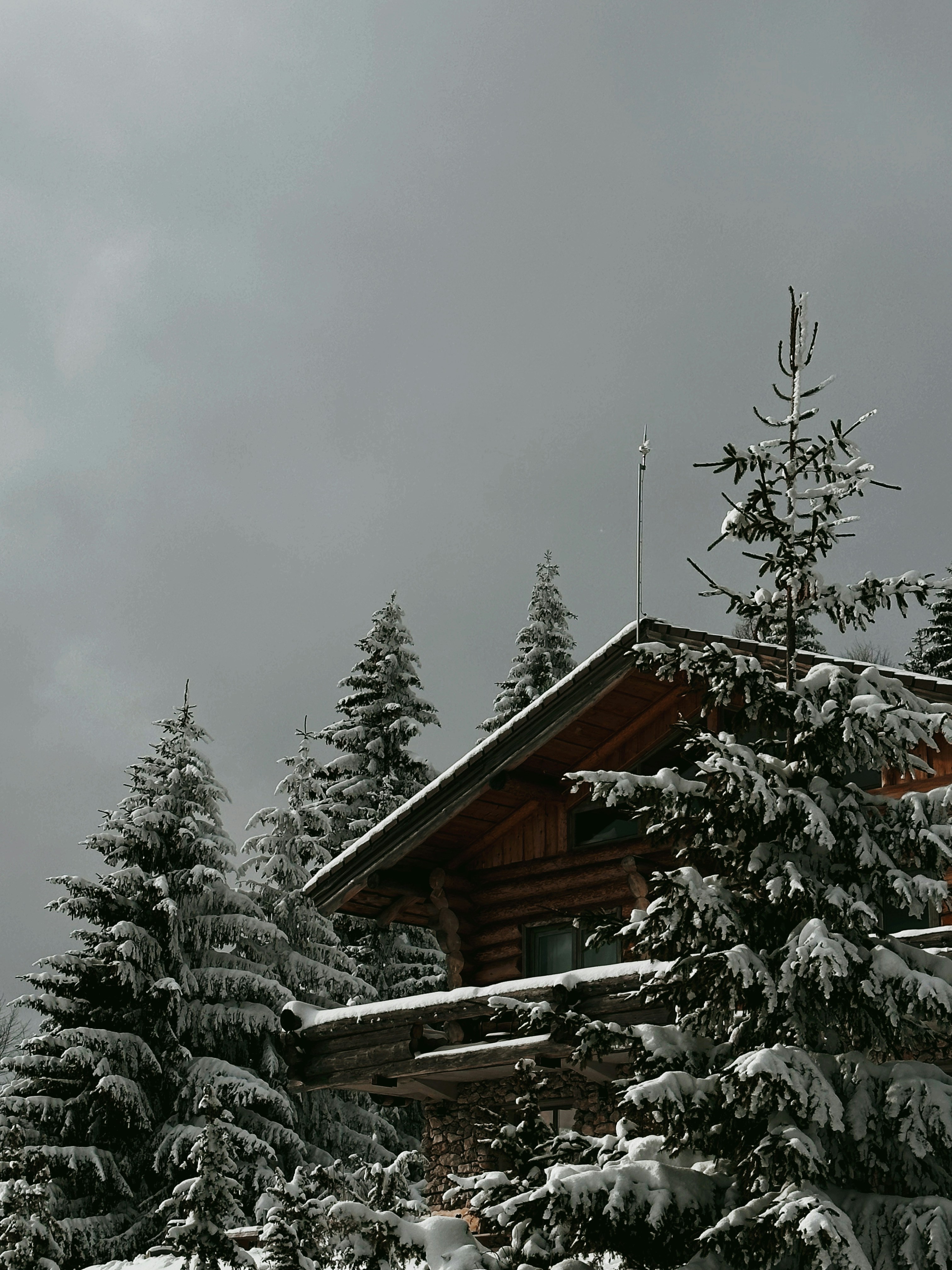 Uma cabana na floresta com neve no chão foto – Imagem grátis sobre Inverno  na Unsplash, image size:3000x4000