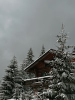 A cozy cabin in the mountains surrounded by pine trees.