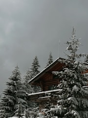 A cozy cabin nestled among tall pine trees under a soft, cloudy sky.