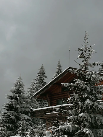 A cozy cabin surrounded by snow-covered pine trees in a winter landscape.
