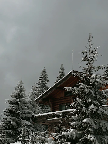 A cozy cabin nestled among tall trees under a bright blue sky.