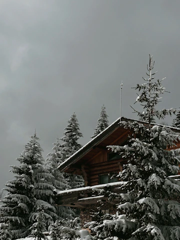 A cozy wooden cottage surrounded by tall pine trees with misty mountain peaks in the background at sunrise.